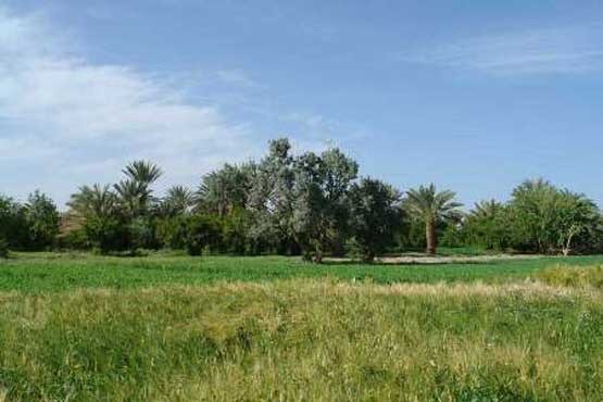 خاش نگینی در قلب کویر شرق