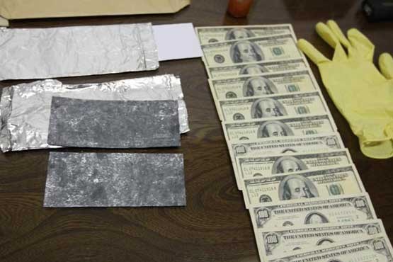 اعضای باند فروش «دلار سیاه» دستگیر شدند