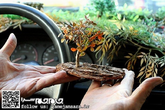 یک تاکسی متفاوت در تهران! [مجموعه‌عکس]