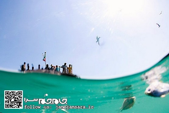 زنجیره‌ای دیدنی از نبض زندگی [مجموعه‌عکس]