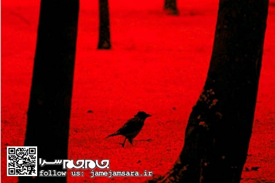 شاید من و تو باشیم: آیینه‌های نابرابر [مجموعه‌عکس]