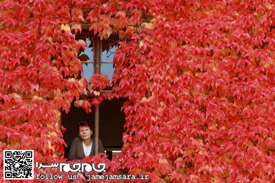 پاییز می رسد‌‌ که مرا مبتلا کند[مجموعه‌عکس]