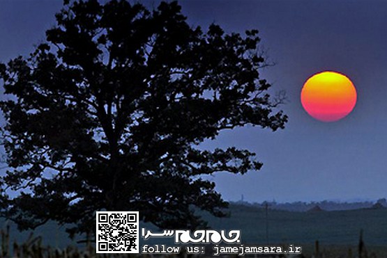 چند قاب پاییزی از طبیعت [عکس]