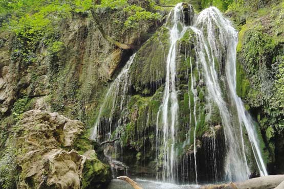 مهمانی مشاهیر‌ در علی‌آباد کتول