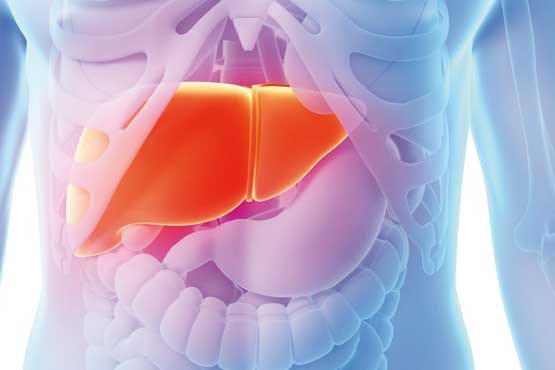 جنگ با هپاتیت با فرمان تغذیه سالم