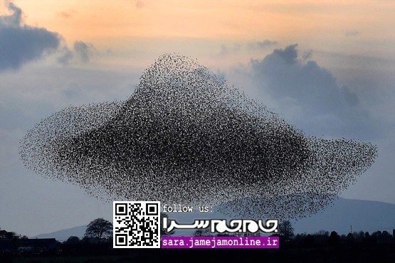 رقص کُر سارها در لانگ‌شات آسمان [مجموعه‌عکس]