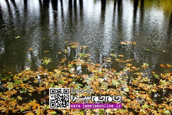 خزان دلپذیر «کامبادن» [مجموعه‌عکس]