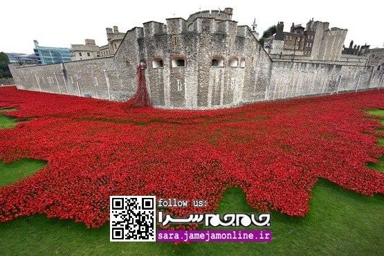 دریای خون در صدمین سالگرد جنگ جهانی اول [مجموعه‌عکس]