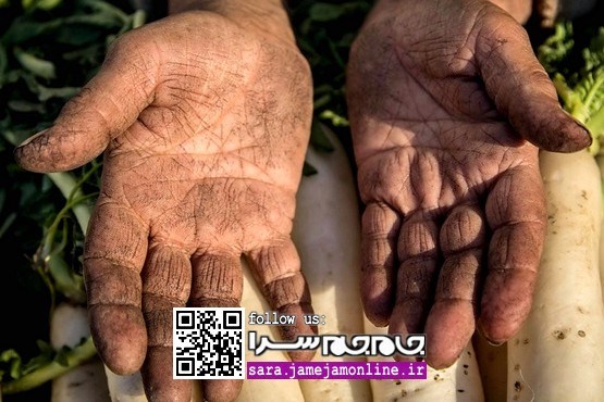 مثل روزگار، مثل سختی، مثل بی‌بی شهربانو [مجموعه‌عکس]