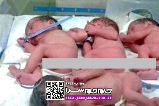 بانوی مشهدی پس از ۱۵ سال، ۴ قلو زایید [+عکس]