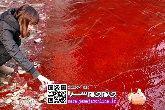 «آب و محیط زیست» از نوع چینی! [مجموعه عکس]