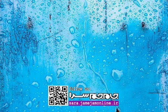 باران شعر و شبنم و شبدر [مجموعه عکس]