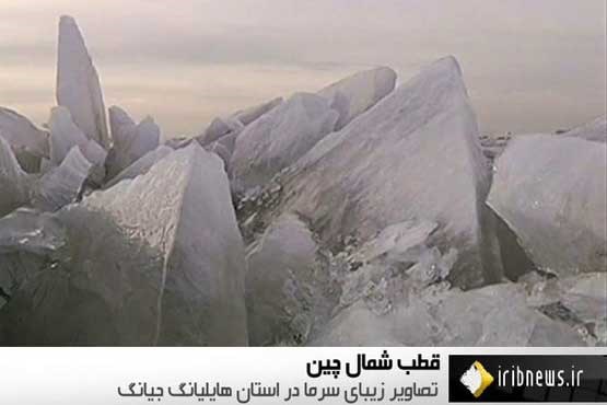 قطب شمال چین