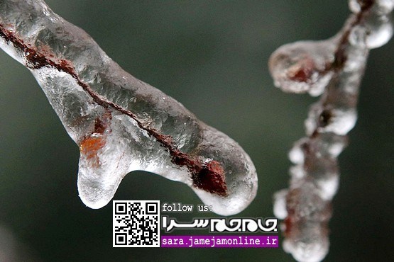 خلاقیت‌های زمستانی ننه سرما! [مجموعه عکس]