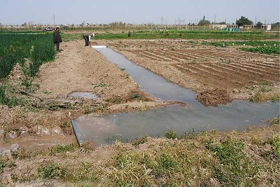 اضافه شدن 4800 هکتار به زمین های آبی لرستان