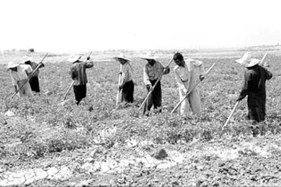 طرح جان اف کندی برای روستاهای ایران