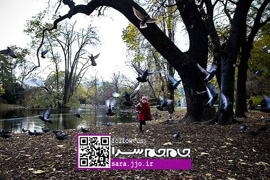 پارک شهری در اتریش [عکس]