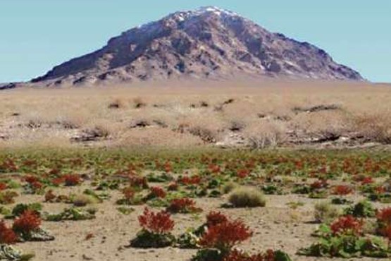 طرح کاداستر در استان سمنان اجرا می‌شود