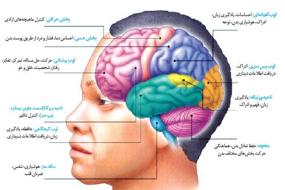 جعبه سیاه بدن چطور کار می‌کند