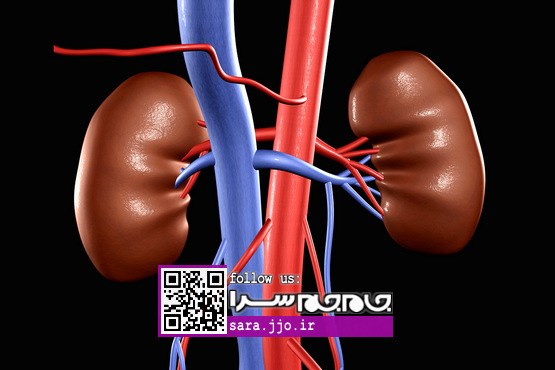 ۱۵ عادتی که به کلیه‌هایتان آسیب می‌زند
