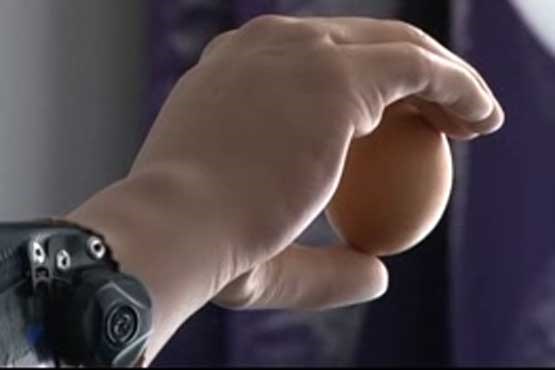 فیلمی جالب از نخستین دست "زیست سازه" فیلمی جالب از نخستین دست "زیست سازه"