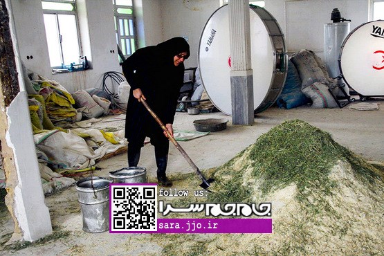 زنی که از پنجه‌های ذهنش پول می‌چکد [مجموعه عکس]