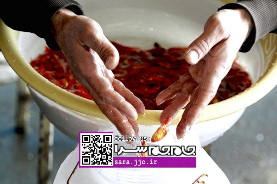 سفره هفت سین کنار خیابان‌های تهران [مجموعه عکس]