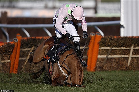 حادثه در یک مسابقه سوارکاری +[مجموعه عکس]