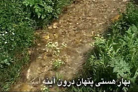 نماهنگ بهار هستی