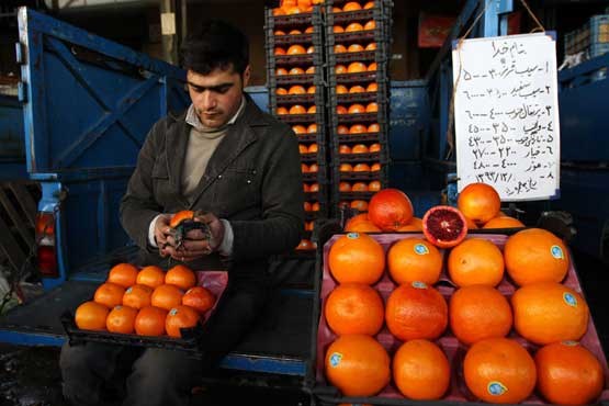 توزیع میوه شب عید آغاز شد