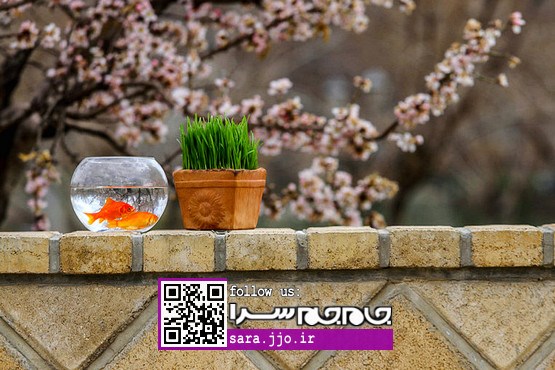 در چند قدمی بهار [مجموعه عکس]