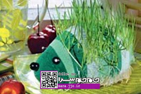 درست کردن سبزه عید به شکل جوجه‌تیغی [عکس]