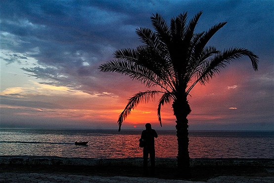 جاذبه های گردشگری استان بوشهر