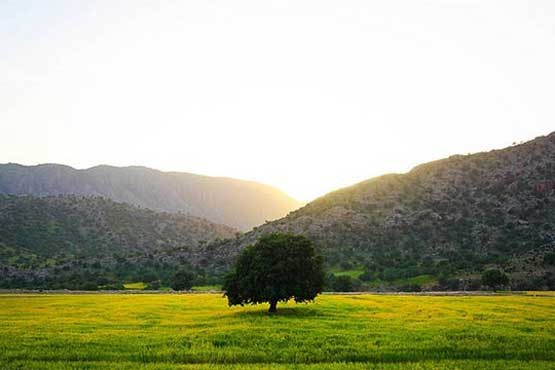 روز طبیعت در «هند» ایران + عکس