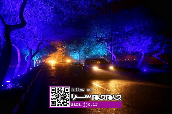 کیش در مه [مجموعه عکس]