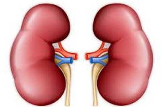 بیماری کلیه در کودکان را بشناسیم و درمان کنیم!