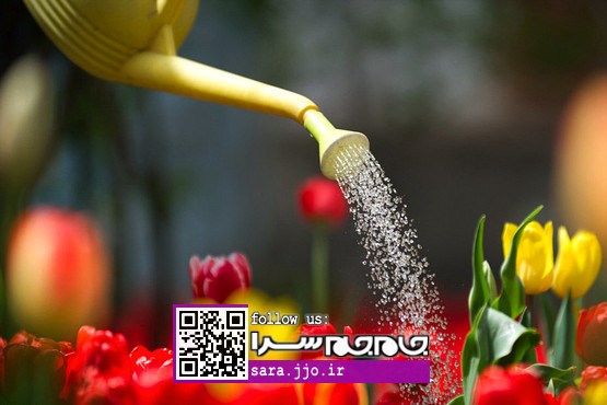 خانم‌ها عاشقش می‌شوند: خانه‌ای پر گل در تبریز [عکس]