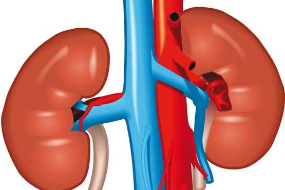 علائم اختلال در تصفیه‌خانه‌ بدن