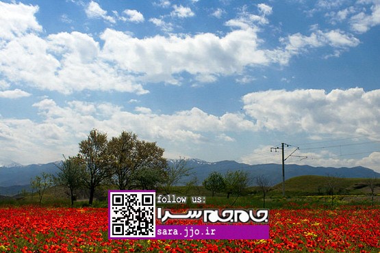 «ارس»، قابی رنگین از جلوه گل در نقاشی بهار [عکس]