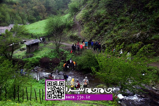 موسیقی آب و نقاشی رنگ در جنگل گلیده [عکس]