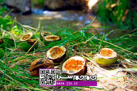 «دانسفهان»؛ شهری که از دل زلزله بیرون آمد [عکس]