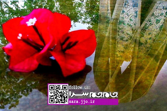 افتخار ایران و ایرانیان در نیشابور [عکس]