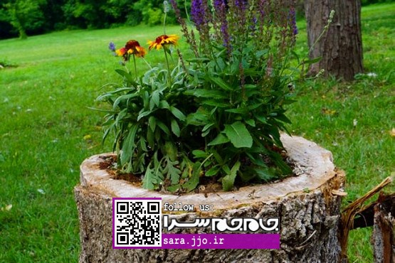 تبدیل درختان قدیمی به گلدان‌های زیبای گل و گیاه [عکس]