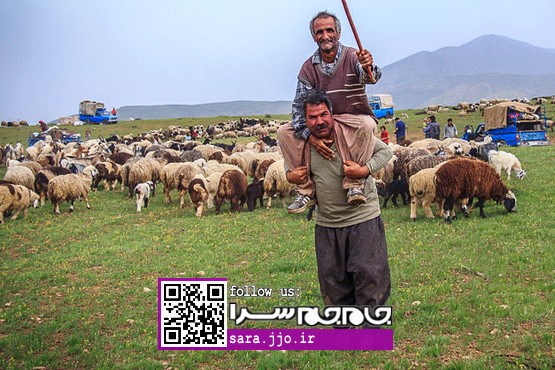 همراه با طایفه کشکولی، همقدم با عشایر قشقایی [عکس]