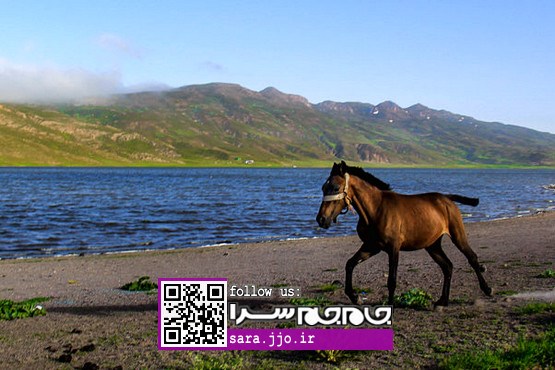 طبیعت بهاری دریاچه نئور [عکس]