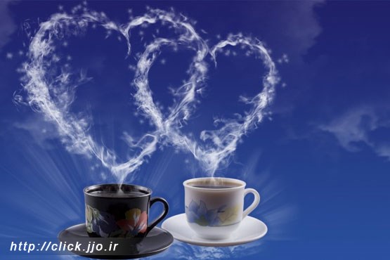 سایت "همسان گزینی" رونمایی شد