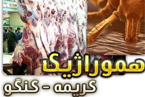 تلفات تب کریمه کنگو به ۵ نفر رسید/ خوردن گوشت عامل انتقال بیماری نیست