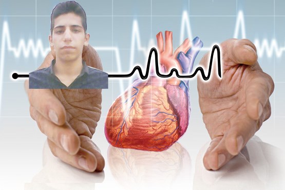 بازگشت از سرزمین ارواح + عکس