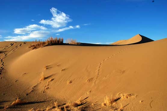 افزایش خطر ابتلا به سرطان پوست در مناطق کویری