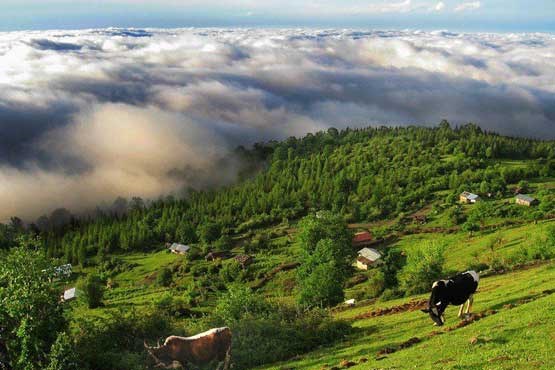 مناظری از شمال ایران + عکس